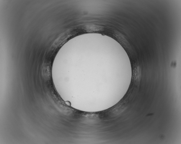 X0000114390426200911061519