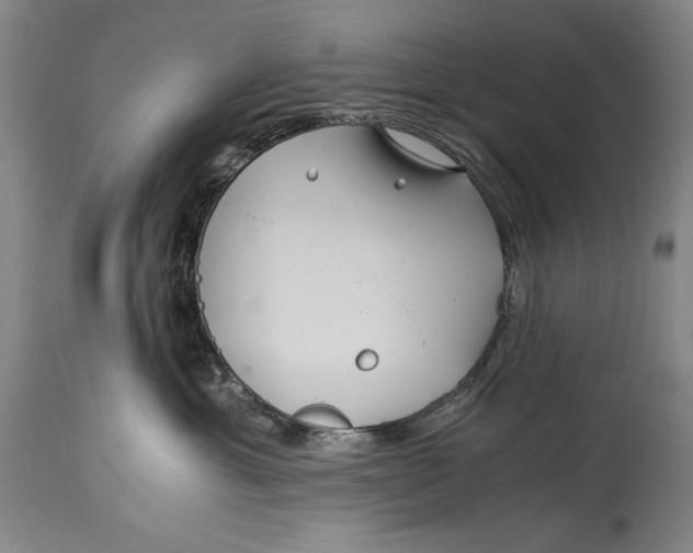 X0000114390429200911061519