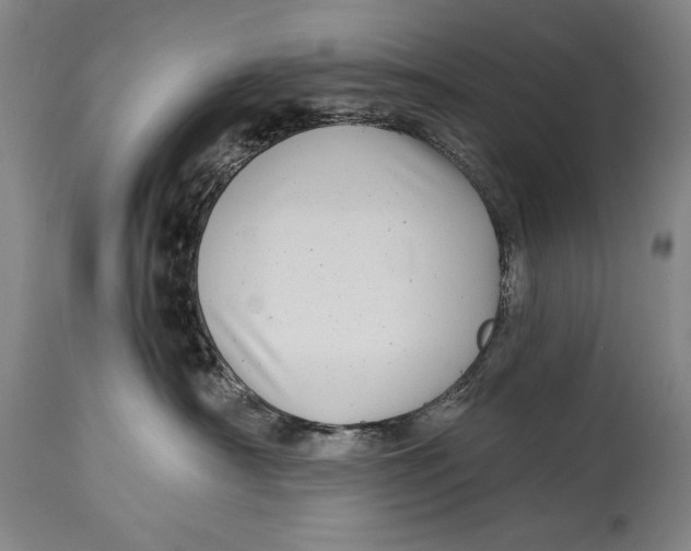 X0000114390430200911061519