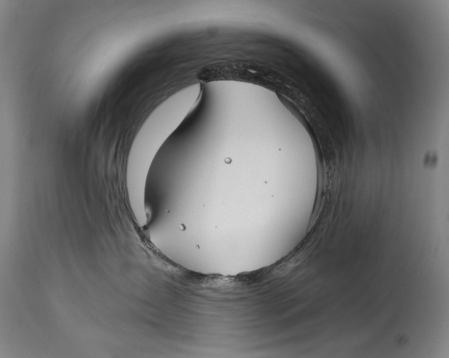 X0000114390431200911061519