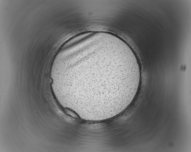 X0000114390433200911061518