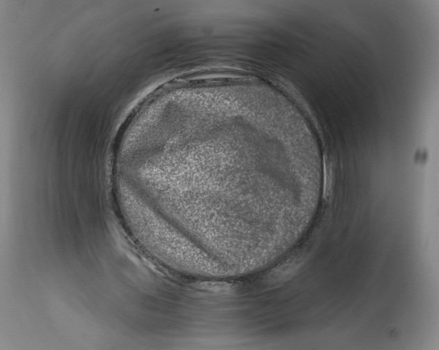 X0000114390435200911061518