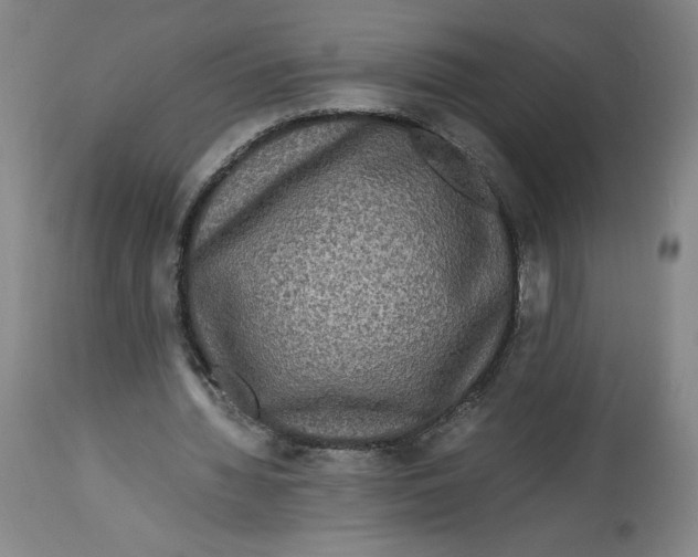 X0000114390436200911061518