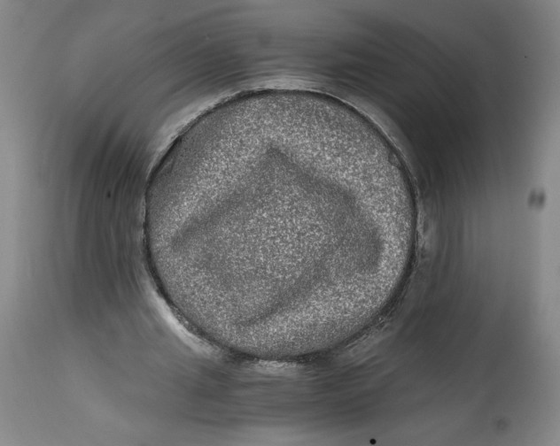 X0000114390437200911061518