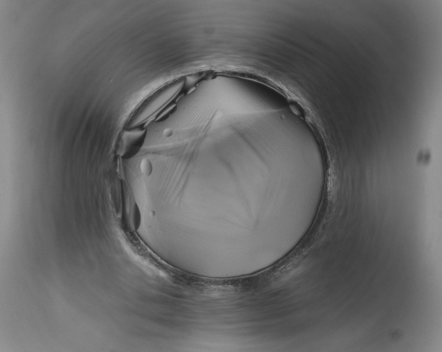 X0000114390438200911061518
