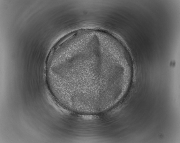 X0000114390439200911061518