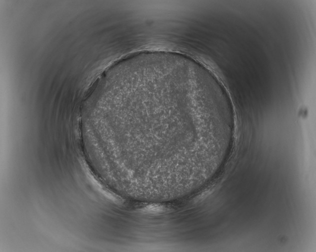 X0000114390441200911061518