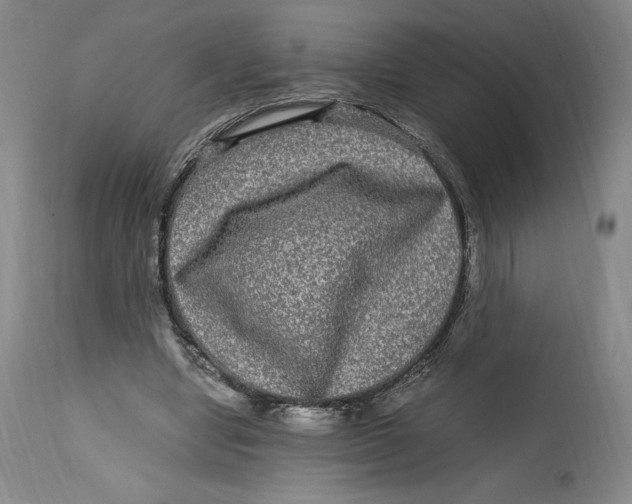 X0000114390442200911061518