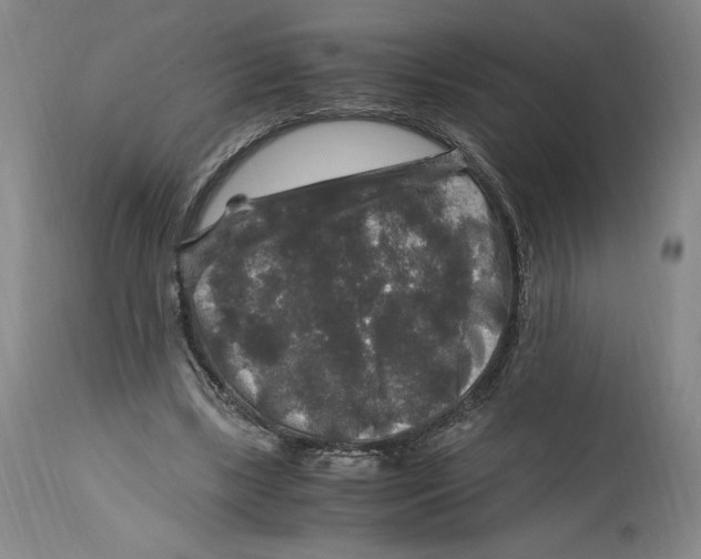 X0000114390443200911061518