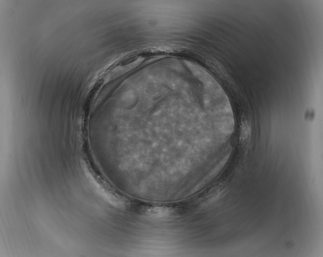X0000114390444200911061518