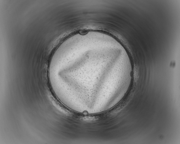 X0000114390445200911061518