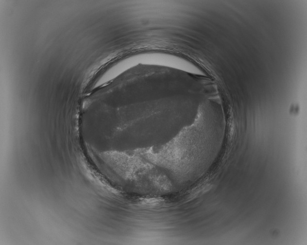 X0000114390446200911061518