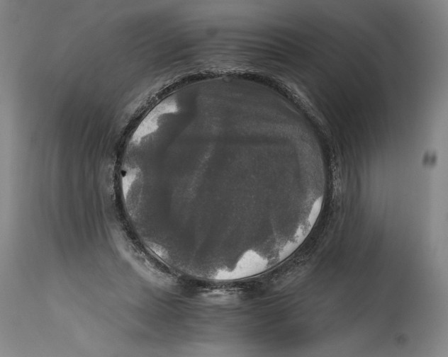 X0000114390447200911061518