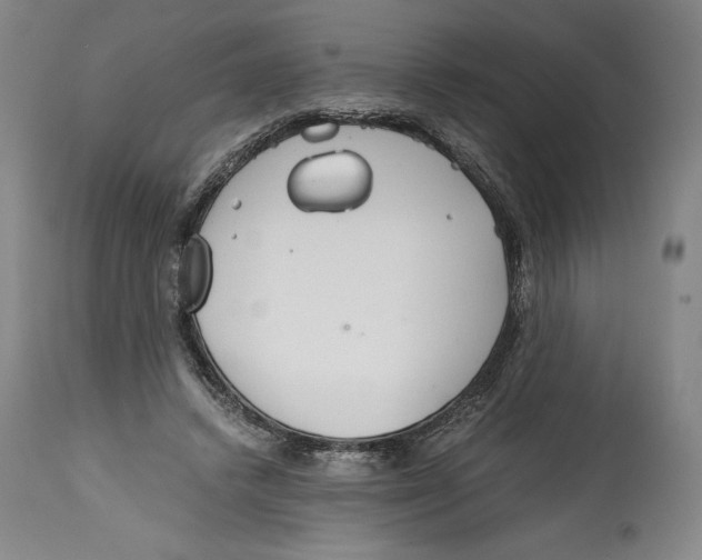 X0000114390448200911061518