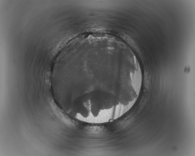 X0000114390449200911061518