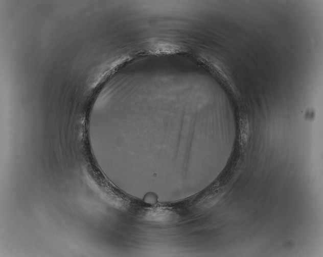 X0000114390451200911061518