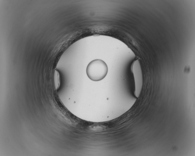 X0000114390452200911061518