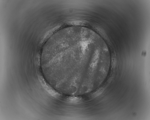 X0000114390453200911061518