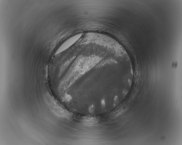 X0000114390454200911061518