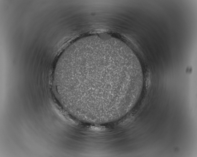 X0000114390455200911061518