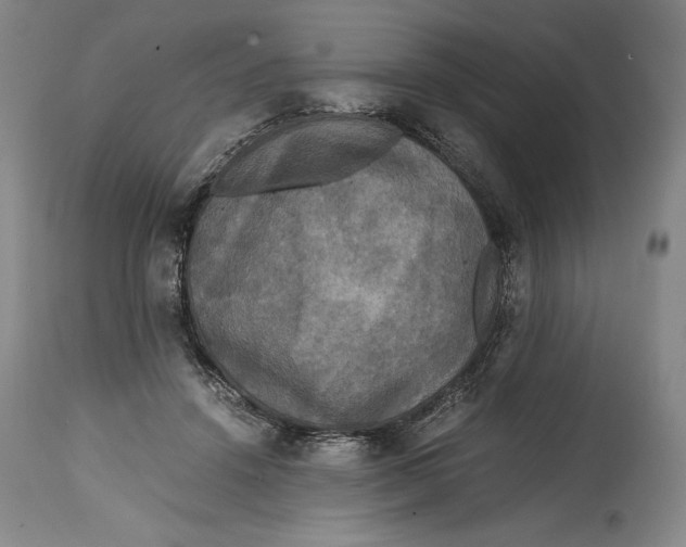 X0000114390456200911061518