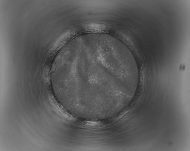 X0000114390457200911061518