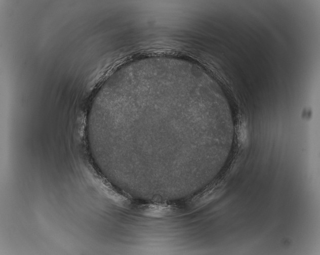 X0000114390458200911061518