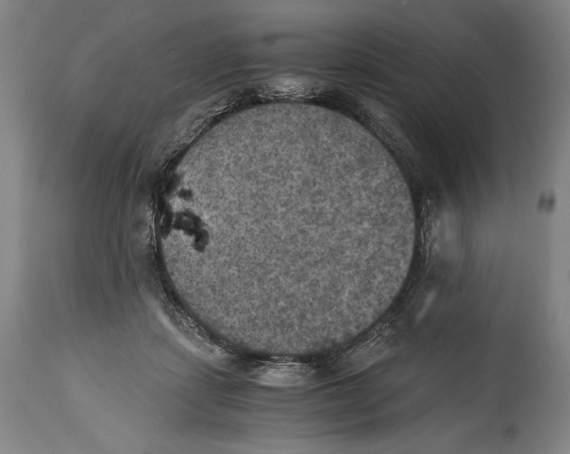 X0000114390459200911061518