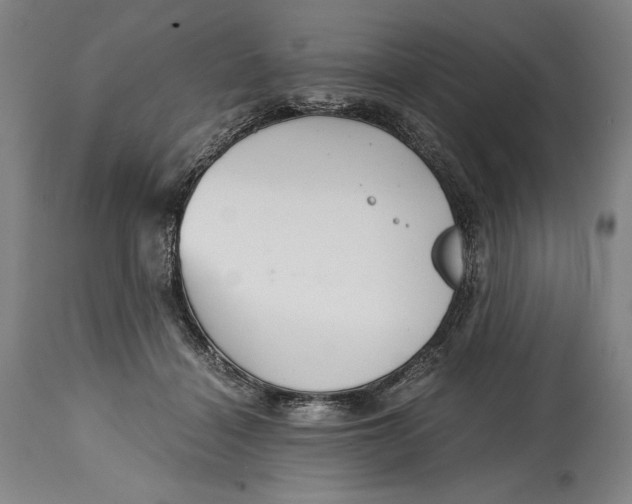 X0000114390460200911061518
