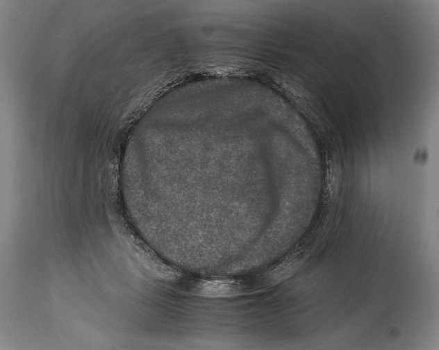 X0000114390461200911061518