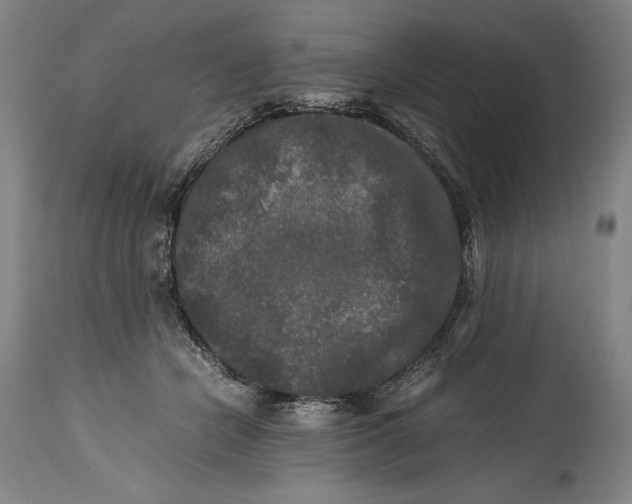 X0000114390462200911061518