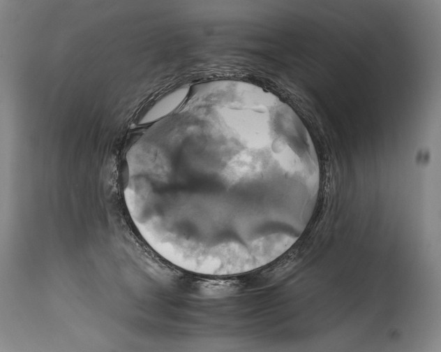 X0000114390465200911061518