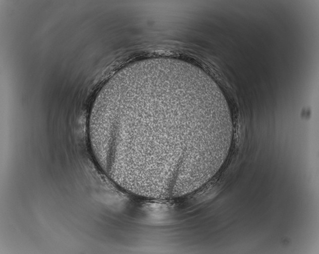 X0000114390466200911061518