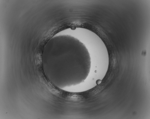 X0000114390467200911061518