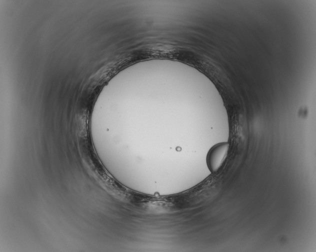 X0000114390468200911061519
