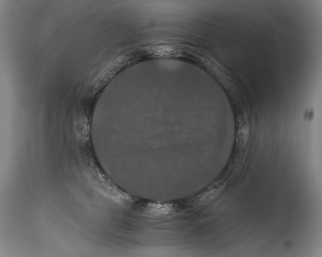 X0000114390469200911061519