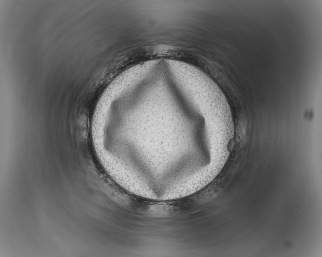 X0000114390470200911061519