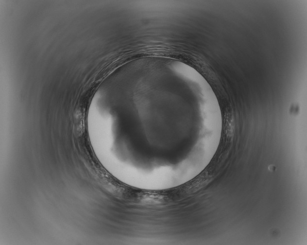 X0000114390471200911061519