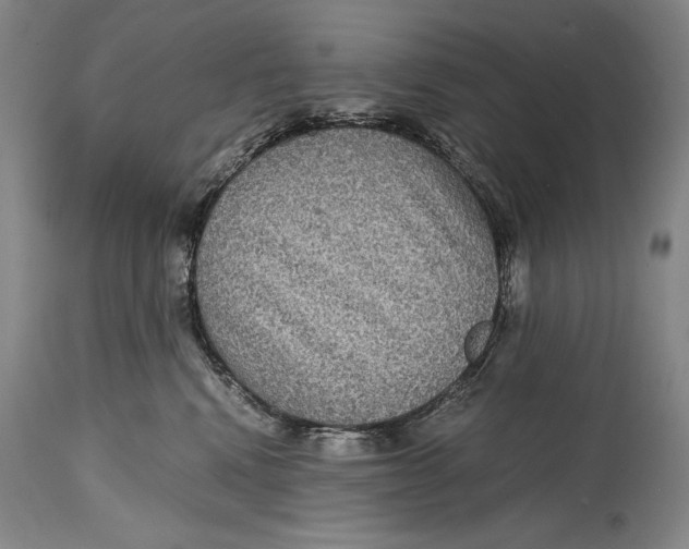 X0000114390472200911061519