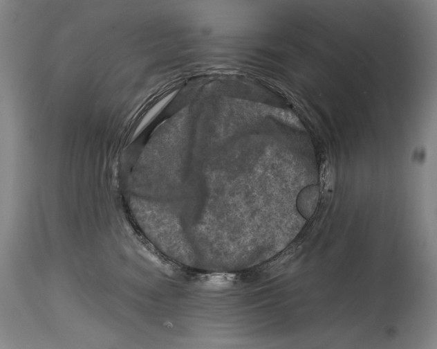 X0000114390474200911061519
