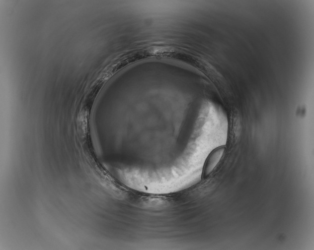 X0000114390475200911061519