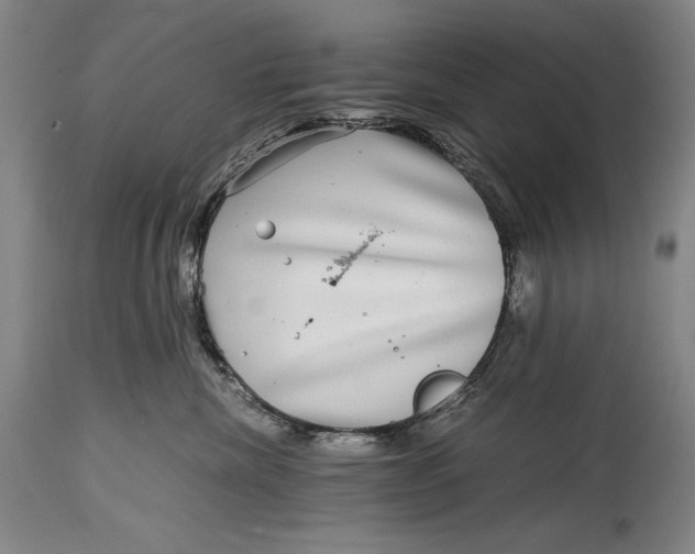 X0000114390476200911061519