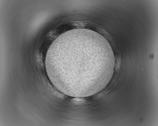 X0000114390477200911061519