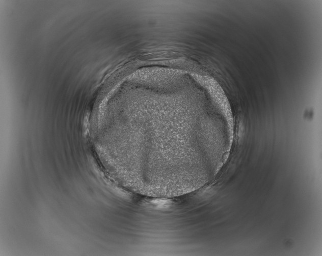 X0000114390478200911061519