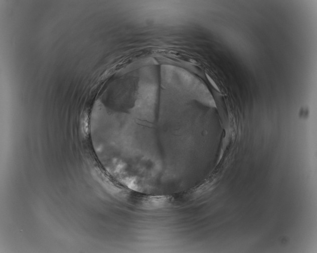 X0000114390479200911061519
