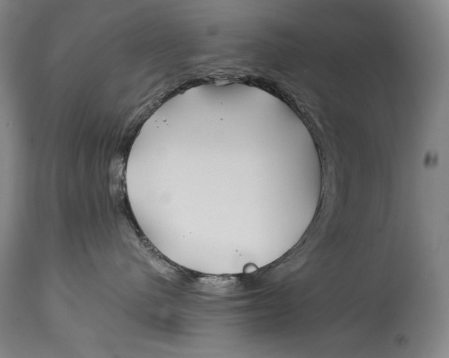 X0000114390480200911061519