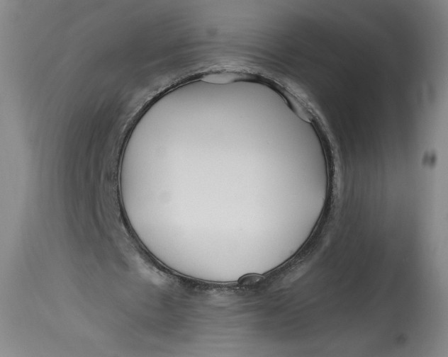 X0000114390481200911061518