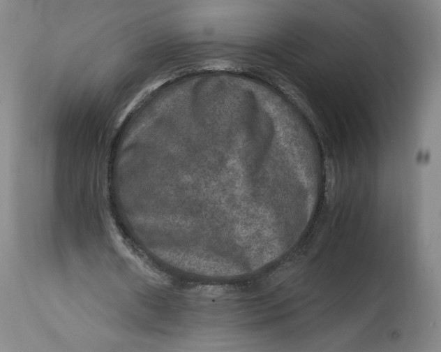 X0000114390482200911061518