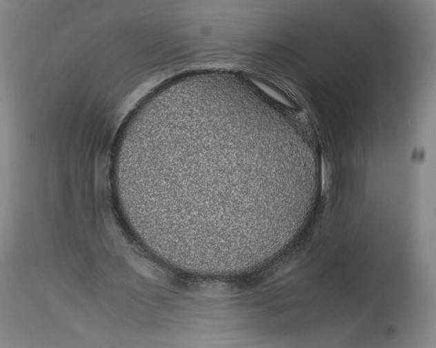X0000114390483200911061518