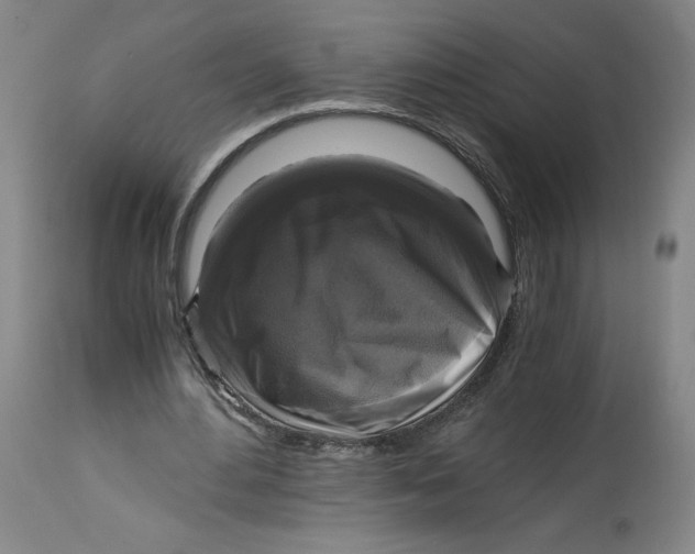 X0000114390484200911061518